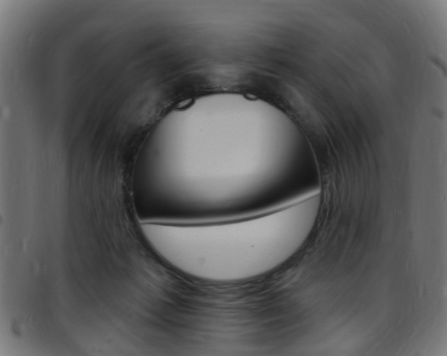 X0000097750221200803070850