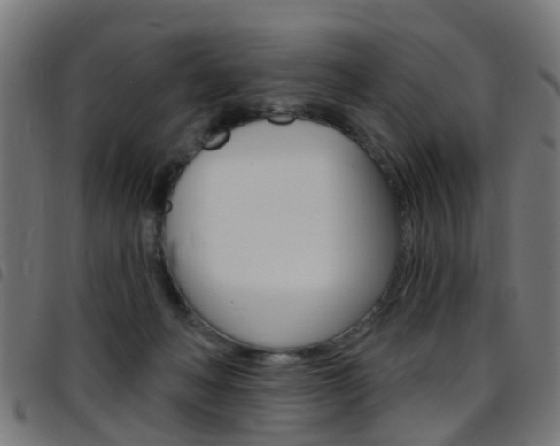 X0000097750222200803070850