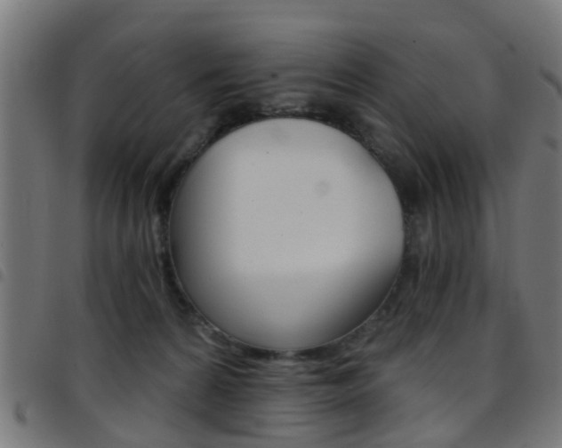 X0000097750224200803070850