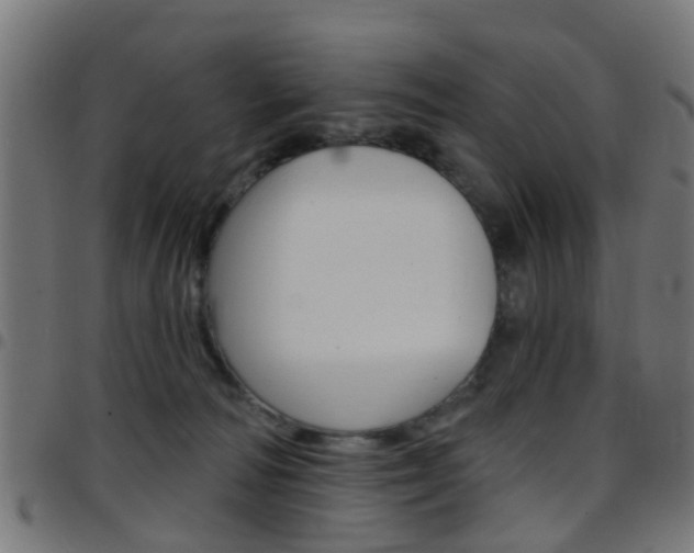 X0000097750226200803070850