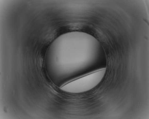 X0000097750227200803070850