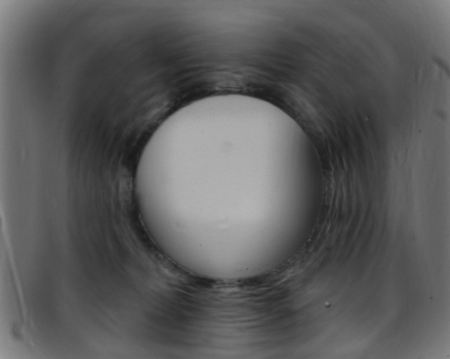 X0000097750228200803070850