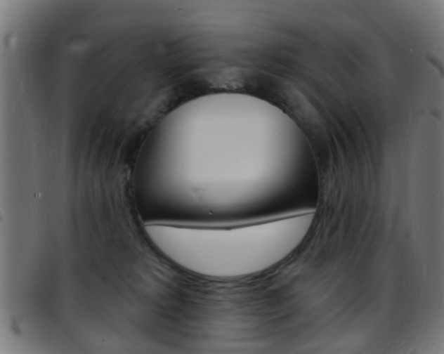 X0000097750229200803070850