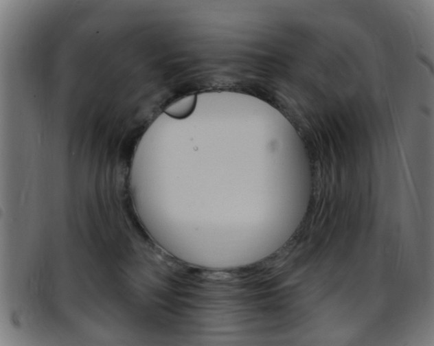 X0000097750230200803070850