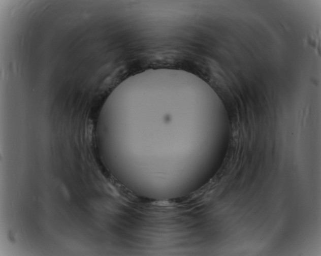 X0000097750231200803070850