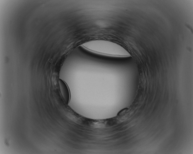 X0000097750232200803070850