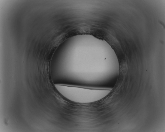 X0000097750233200803070850