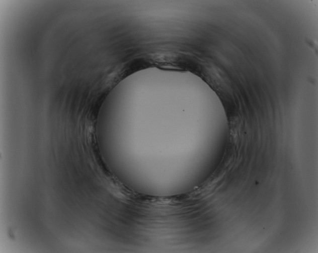 X0000097750235200803070850
