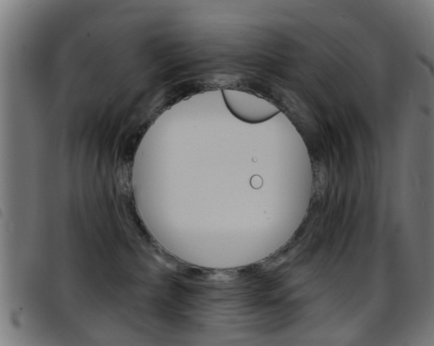 X0000097750236200803070850