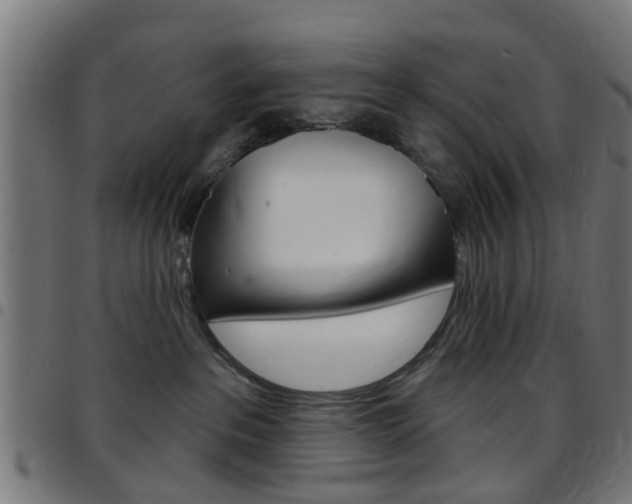 X0000097750237200803070850