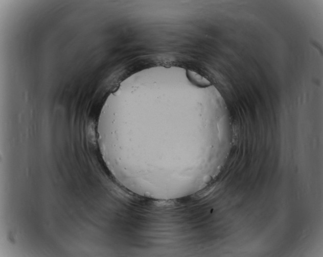 X0000097750238200803070850