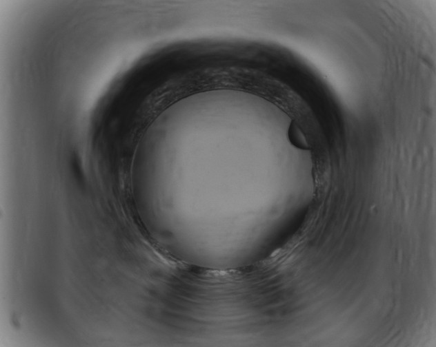 X0000097750239200803070850