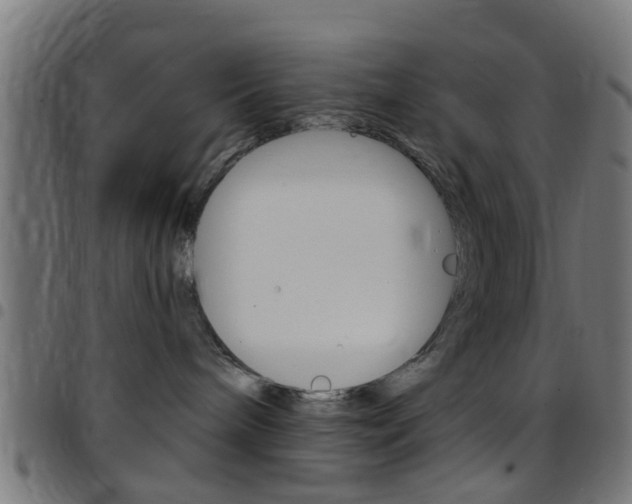X0000097750240200803070850