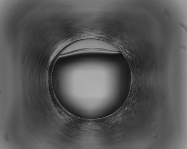 X0000097750244200803070849
