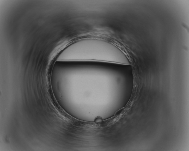 X0000097750245200803070849