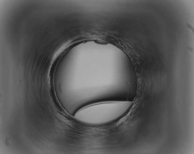 X0000097750246200803070849