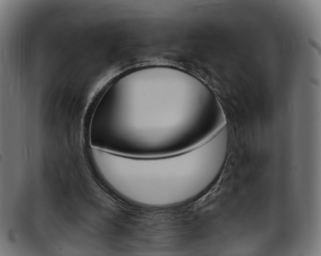 X0000097750248200803070849