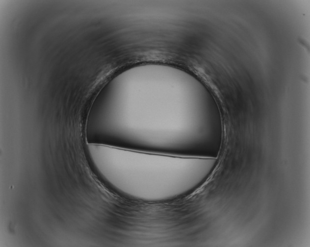 X0000097750249200803070849