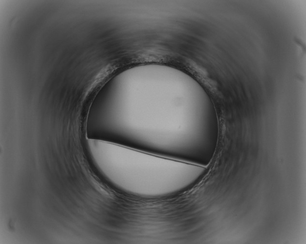 X0000097750250200803070849