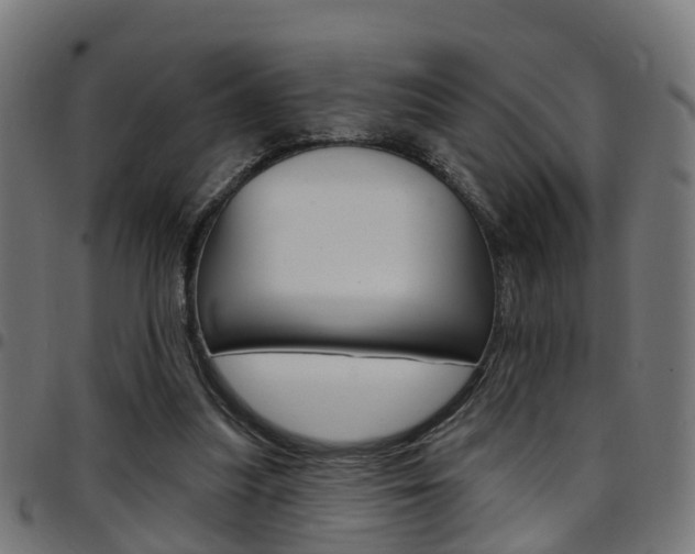 X0000097750251200803070849