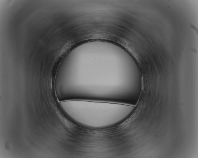 X0000097750253200803070849