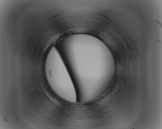 X0000097750254200803070849
