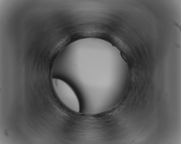 X0000097750258200803070849