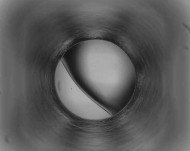 X0000097750260200803070849