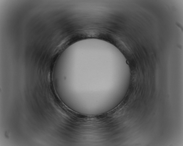 X0000097750262200803070849