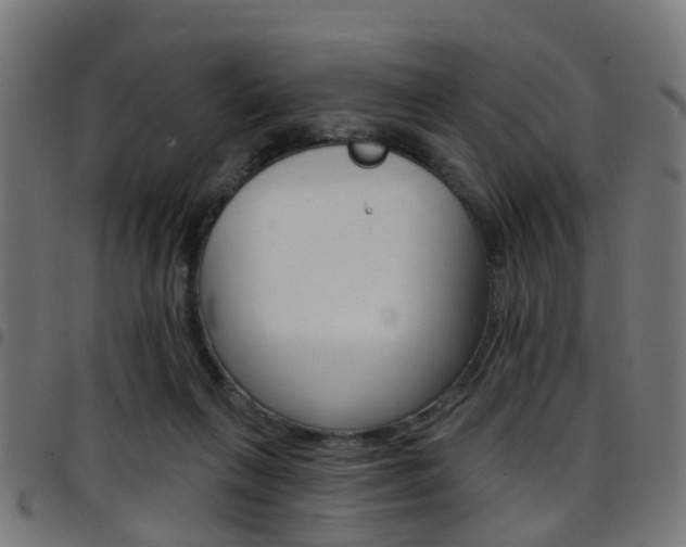 X0000097750263200803070849