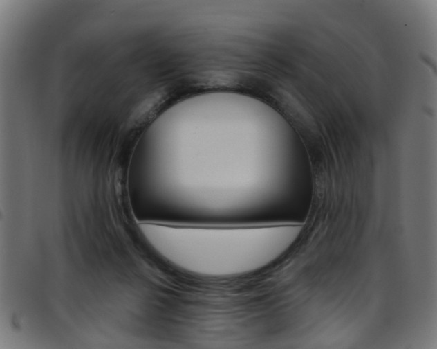 X0000097750264200803070849