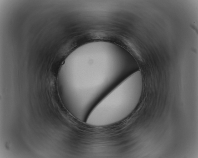 X0000097750265200803070849