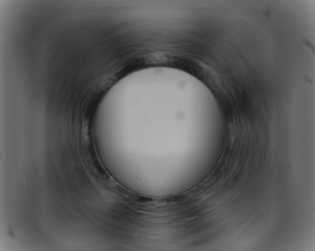 X0000097750267200803070849