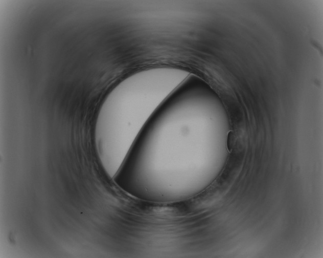 X0000097750268200803070849
