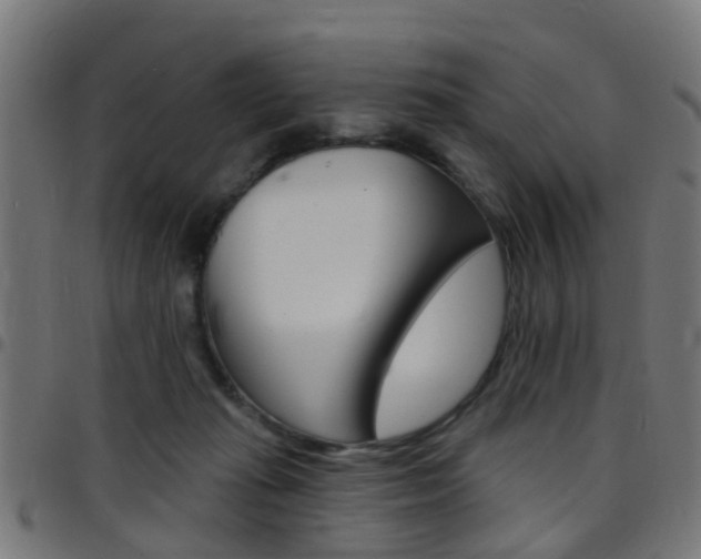 X0000097750269200803070849
