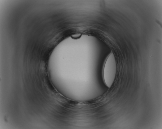X0000097750270200803070849