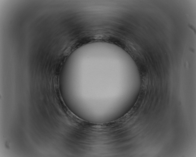 X0000097750272200803070850