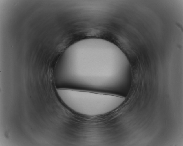 X0000097750273200803070850