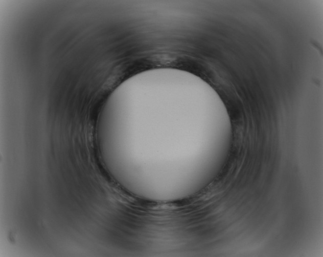X0000097750274200803070850