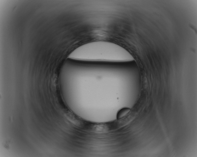 X0000097750275200803070850