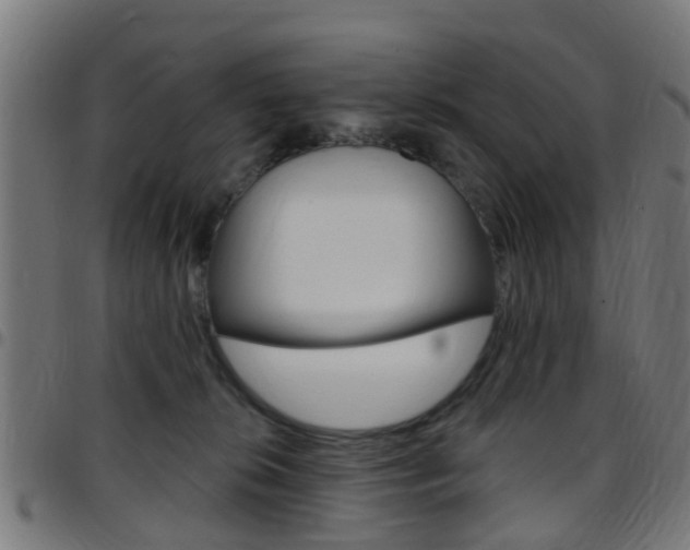 X0000097750276200803070850