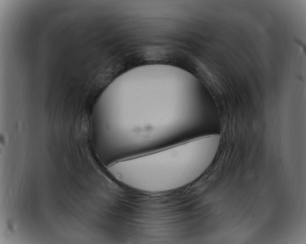 X0000097750277200803070850
