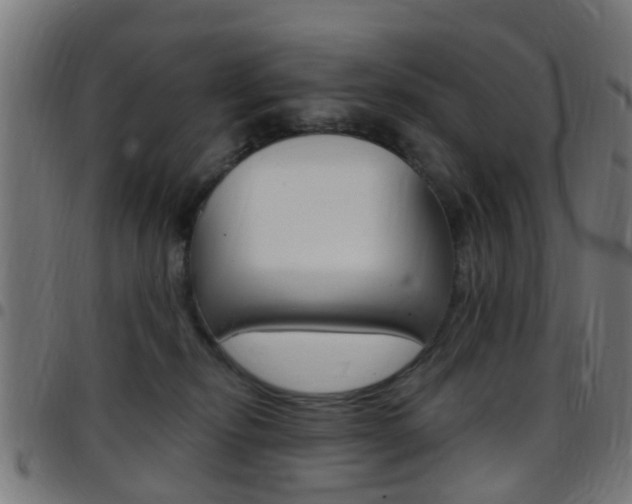 X0000097750278200803070850