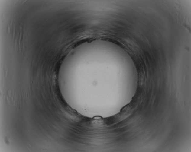 X0000097750279200803070850