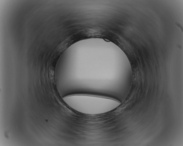 X0000097750281200803070850