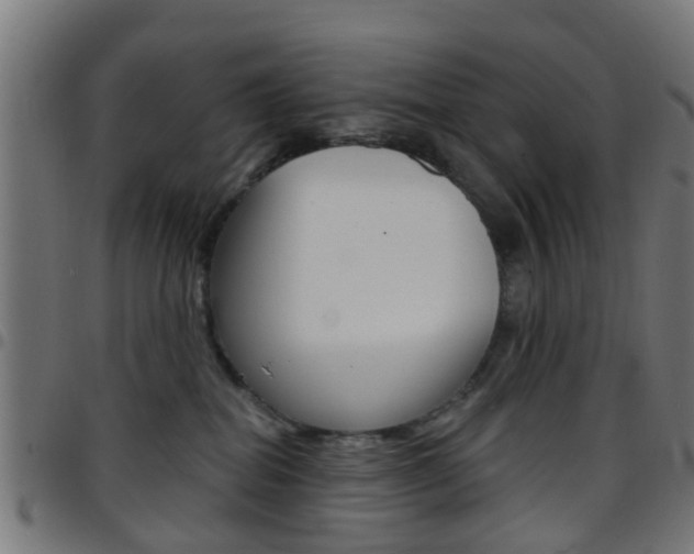 X0000097750282200803070850