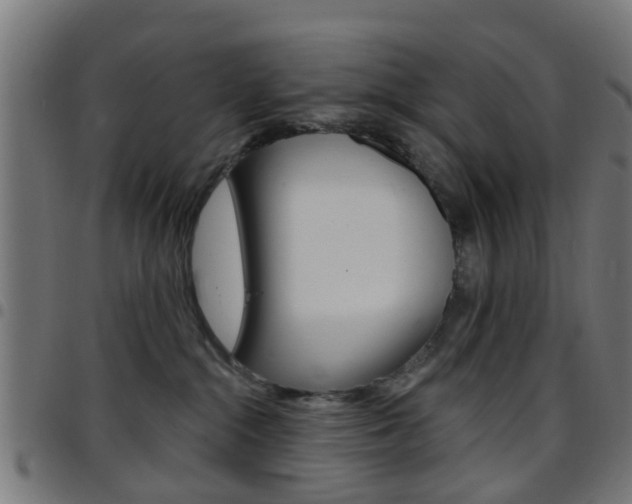 X0000097750284200803070850