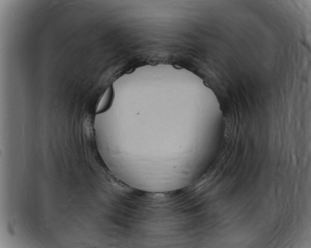 X0000097750287200803070850