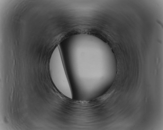 X0000097750288200803070850