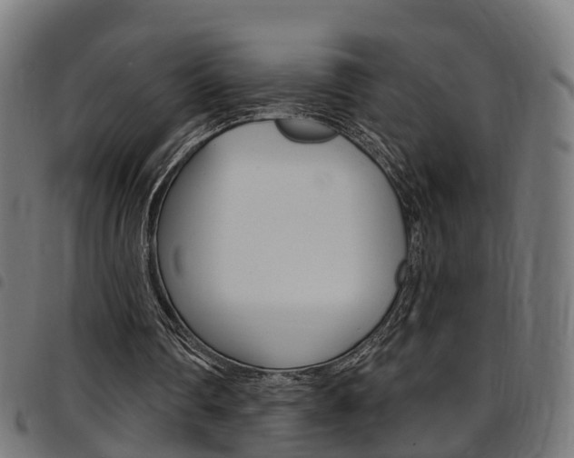 X0000097750290200803070849